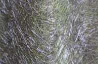 Little Marsh fibreglass roof work